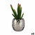 S3626268_P0_WBG_icon0