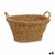 S3625973_P0_WBG_icon0
