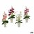 S3626130_S3626130_P1_icon0