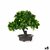 S3627918_P0_icon0