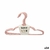 S3629278_P2_icon0