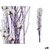 S3630033_P0_icon0