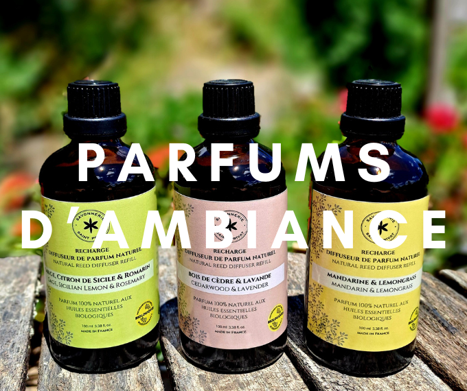 categorie parfums d'ambiance