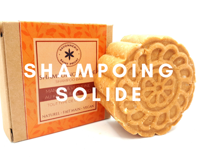 categorie shampoing solide