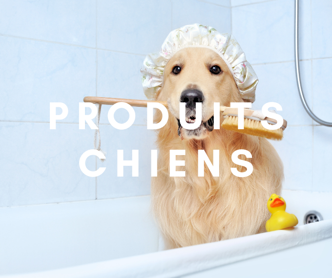 categorie produits naturels pour chiens