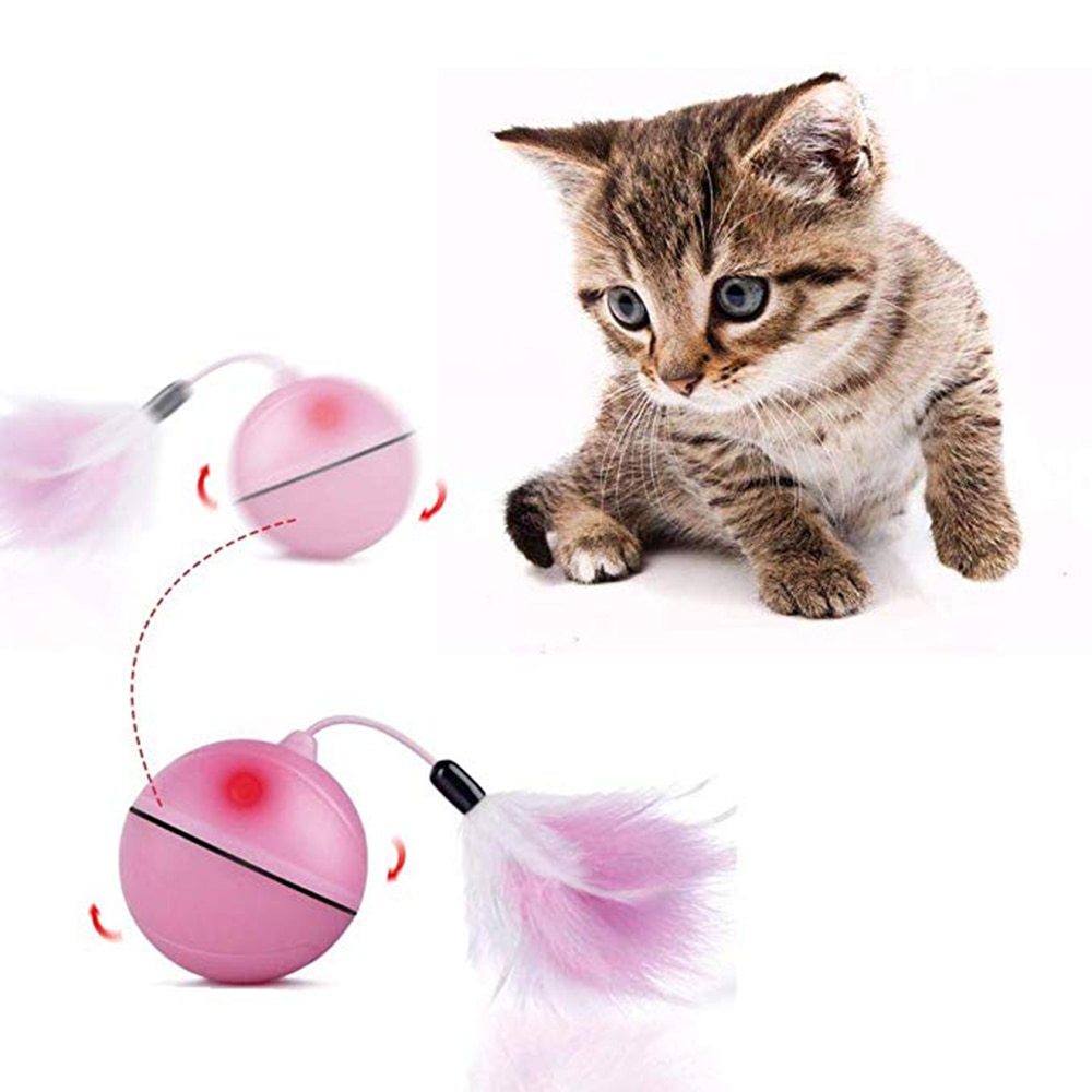 Balle magique lumineuse Chat rechargeable