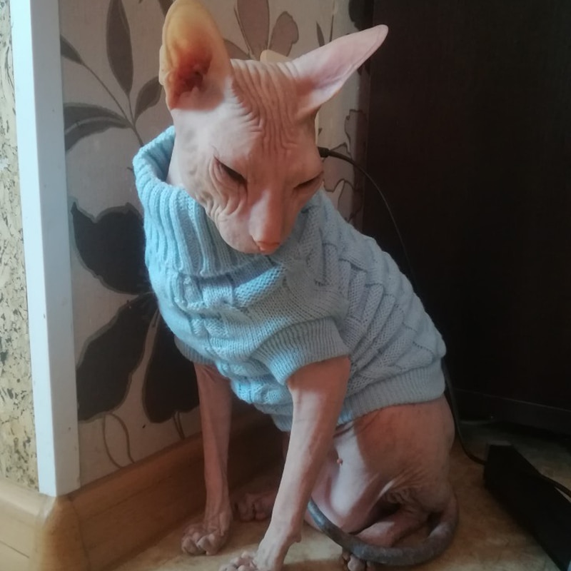 Pull A Col Roule Pour Chat Frileux La Boutikachat Vetements Les 3 Chats