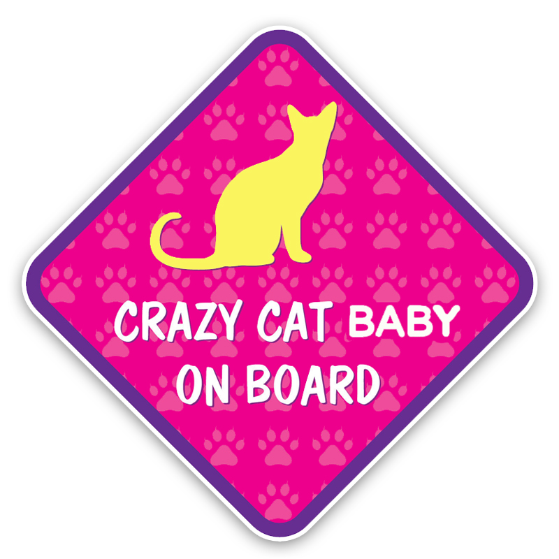 13-9-13-9-CM-chat-fou-belle-voiture-autocollant-b-b-bord-pare-chocs-fen