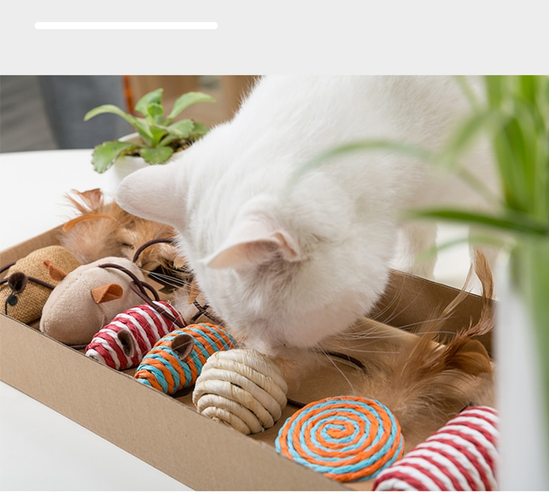 Jouets-pour-chat-animal-de-compagnie-7-pi-ces-ensemble-baguette-en-lin-chat-jouet-interactif
