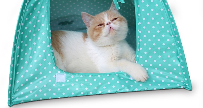 Vente-chaude-D-t-Imperm-able-Pliable-Pour-Animaux-De-Compagnie-pliable-tente-de-chat-chat