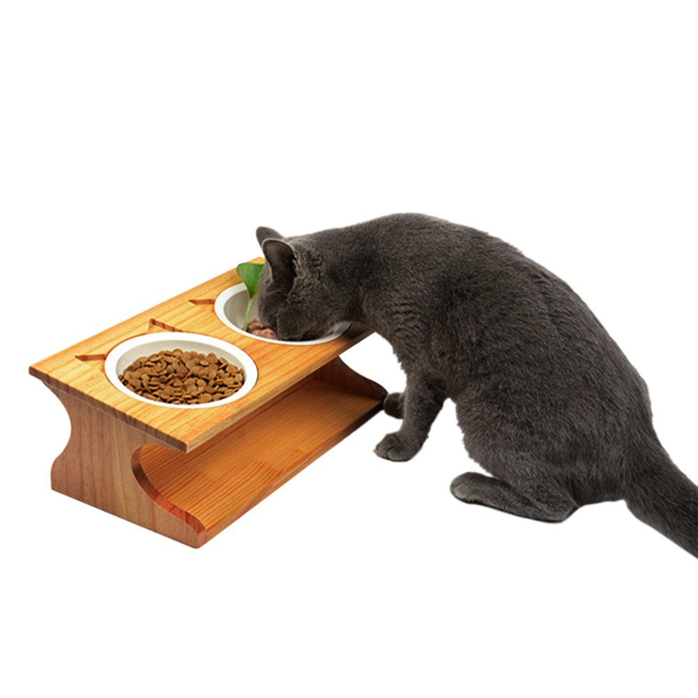 Serviteur repas pour votre Chat élégant