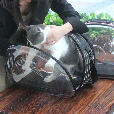 Sac A Dos Pour Le Transport De Votre Chat Catalogue General Les 3 Chats