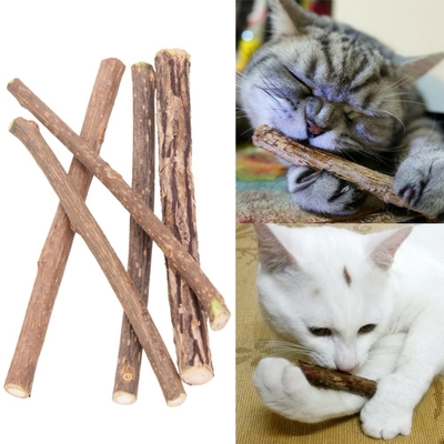 Bâtonnets cataire pour votre Chat
