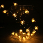 Lampes-f-eriques-scintillantes-en-forme-de-chat-20-LED-fournitures-de-f-te-d-coration