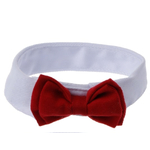 Pet-Chiot-Chaton-Chiens-Chat-R-glable-Bow-Tie-Collier-Cravate-De-Mariage-De-Vacances-D