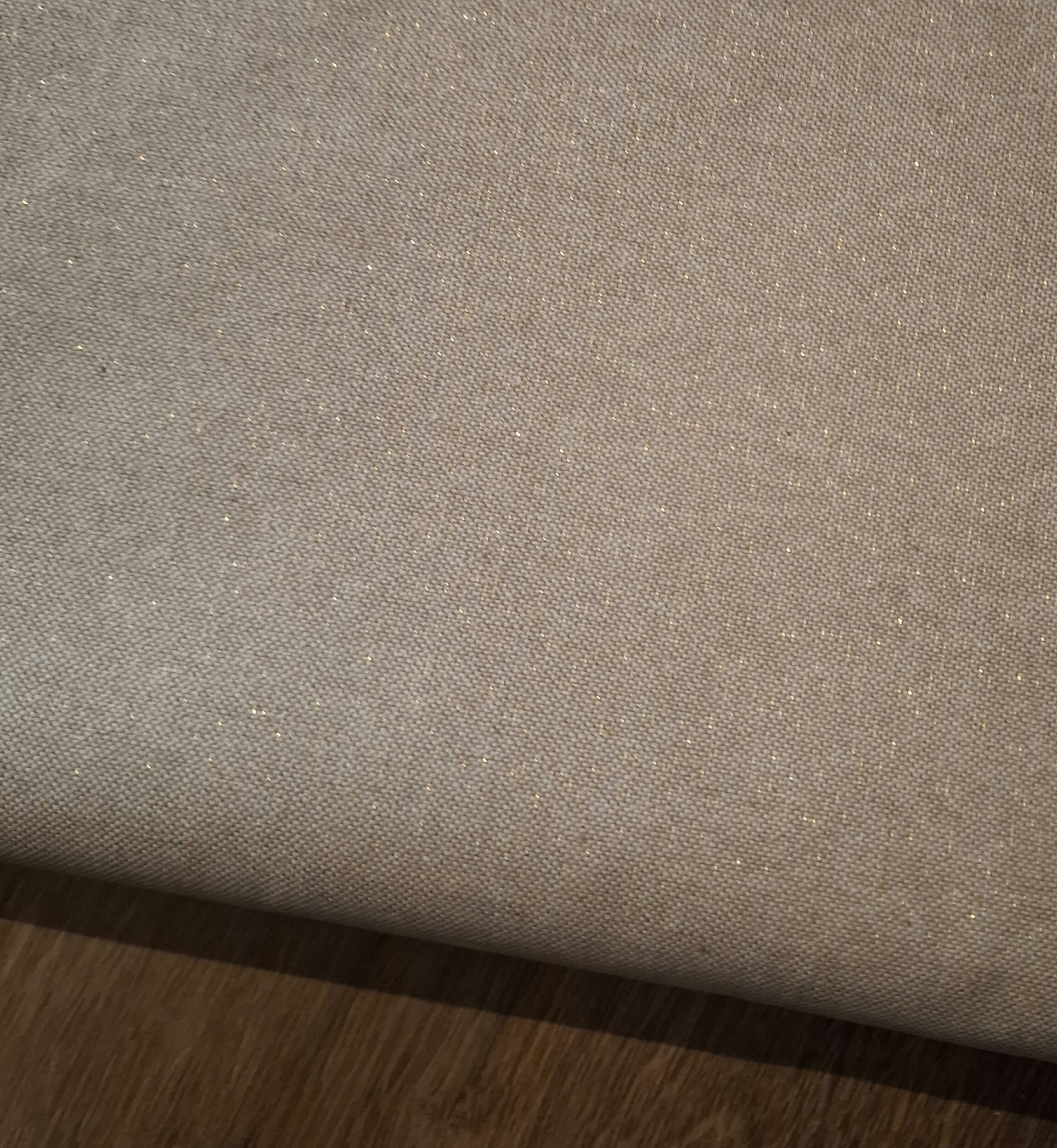 1000061351