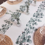 nappe coton eucalyptus