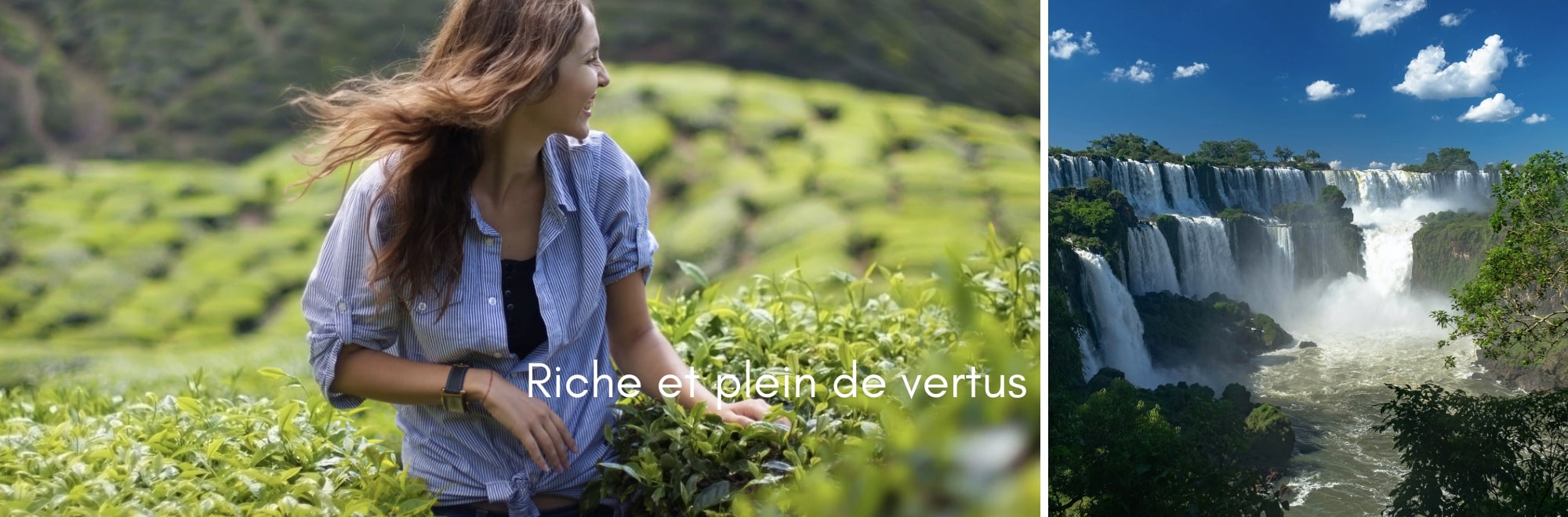 Plein de vertus - Mate