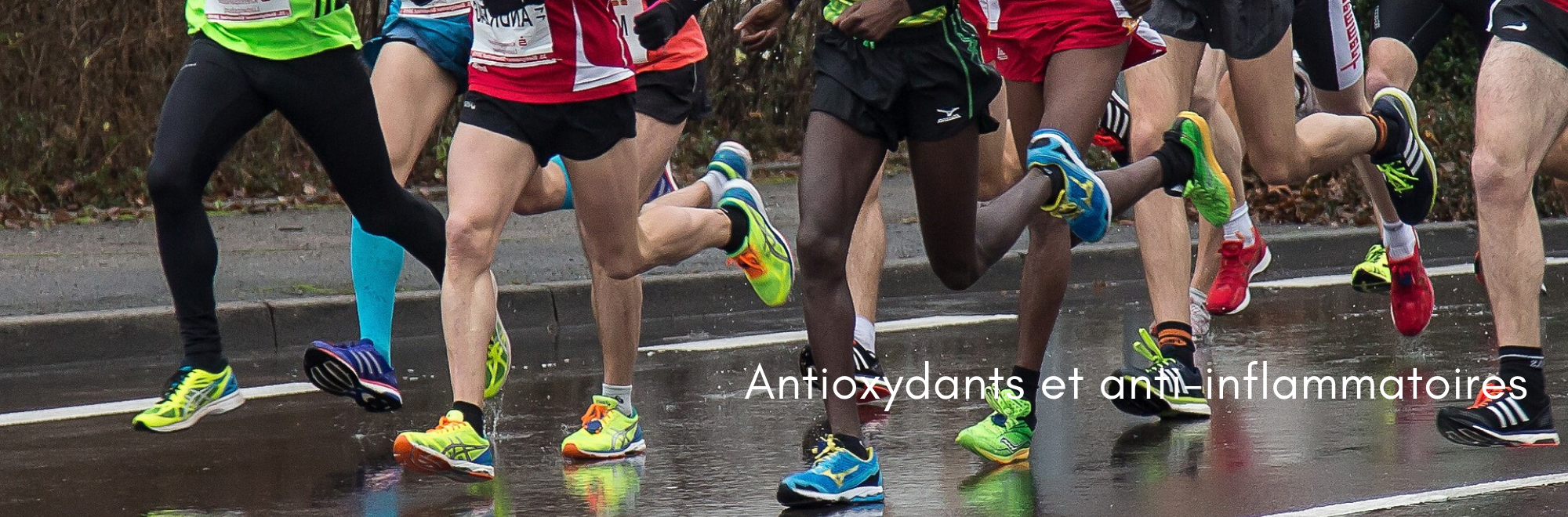 antioxydants et anti-inflammatoires - mate