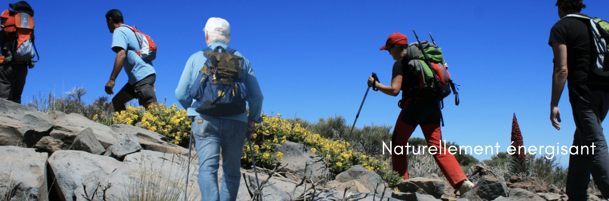 naturellement énergisant - mate