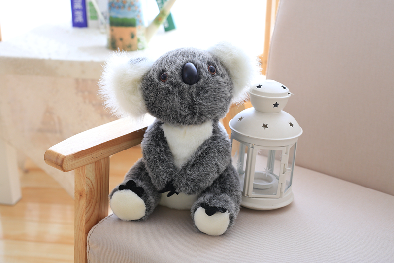 nounours koala