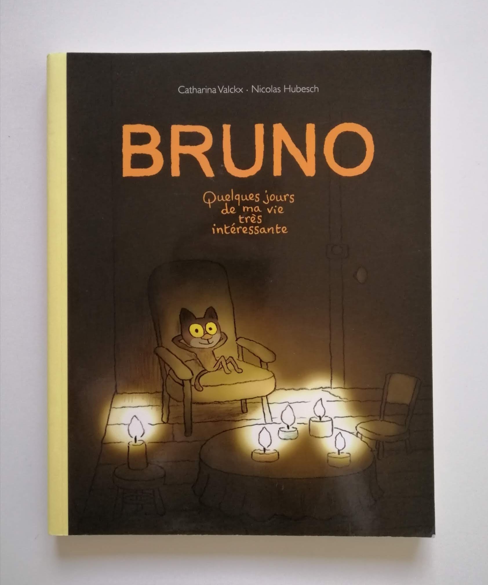 Bruno - Quelques jours de ma vie très intéressante (Catharina Valckx et Nicolas Hubesch)