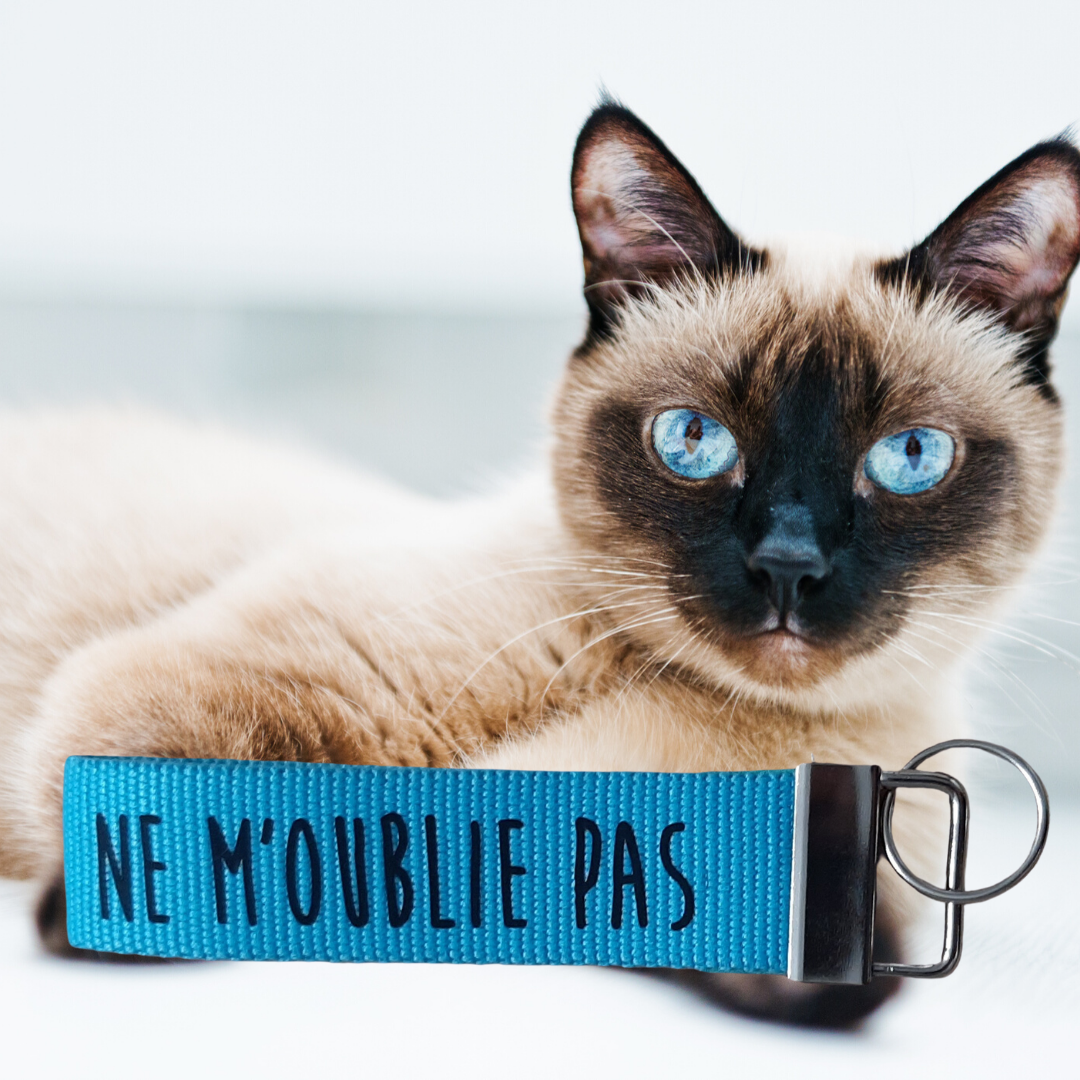 Porte clés personnalisé Chat Noir N4 personnalisable Photo texte recto verso