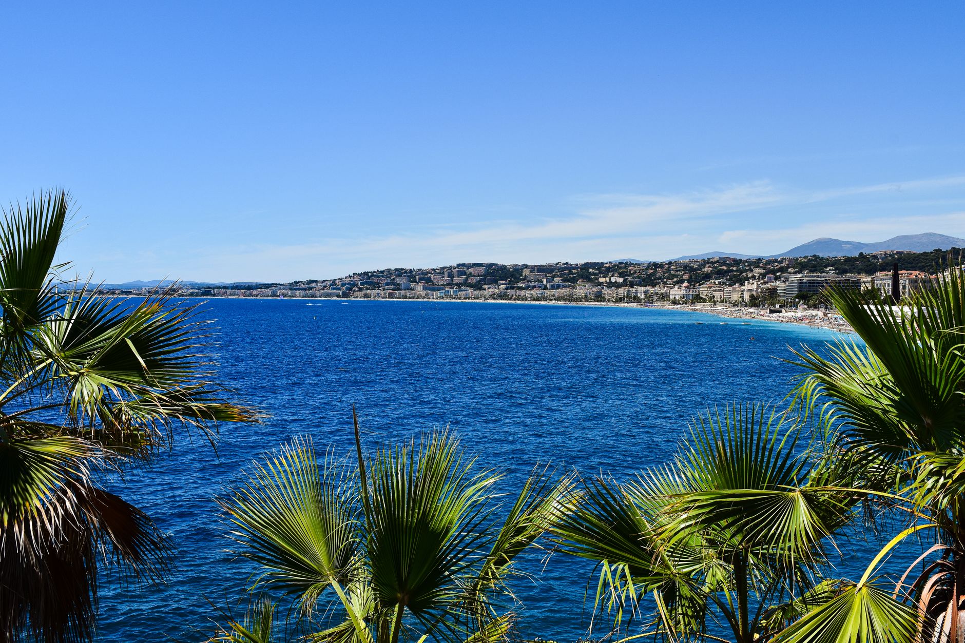 une vue pittoresque de la cote azur et des palmiers en provence alpes cote d azur france