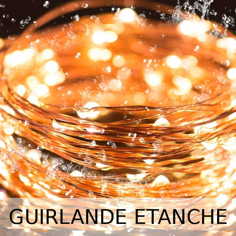 guirlande-lumineuse-led-a-piles-etanche