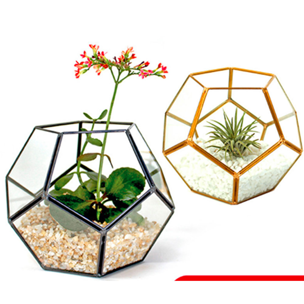 Terrarium centre de table
