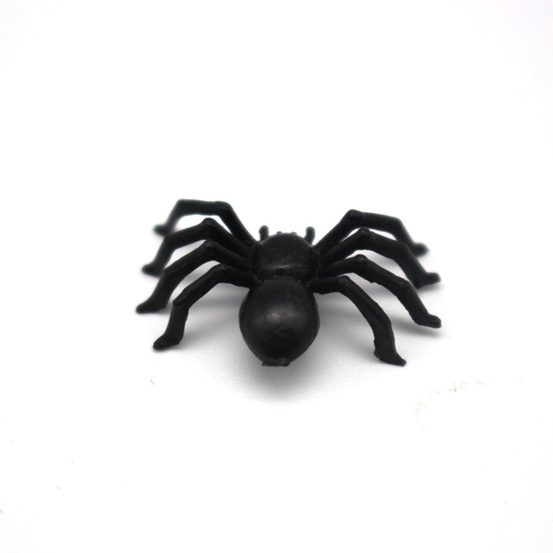 decoration-halloween-araignee-noire