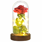 rose-eternelle-lumineuse-sous-cloche