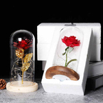 rose-eternelle-lumineuse-sous-cloche-st-valentin