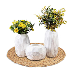 set-de-table-en-jacinthe-d-eau-vegetal