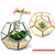 Pot-de-fleur-g-om-trique-en-verre-pentagone-Terrarium-conteneur-de-fen-tre-d-cor