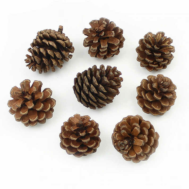 Cadeau Boutique Lot De 24 Pommes De Pin Naturel Pour Noël Automne Thanksgiving Récolte D'automne Fête Craft Accessoire De Décorations, 4 Winter Holiday Couleurs Rouge Or Blanc Et Marron