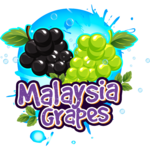 malaysia-grapes-60-ml-bang-a-l-o
