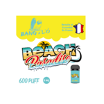 10-cartouches-beach-paradise-9-mg-2-ml-easy-fast