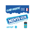 10-cartouches-mint-gum-9-mg-2-ml-easy-fast