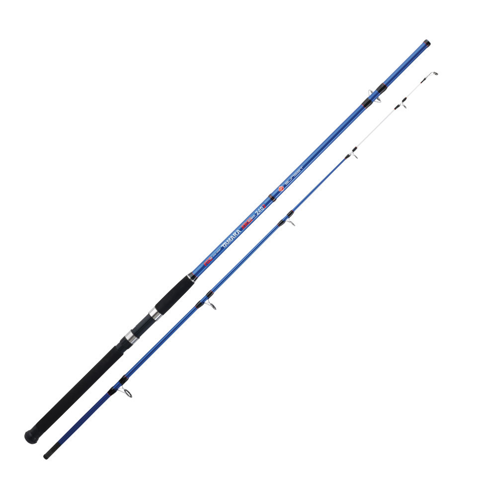 canne a peche surfcasting telescopique