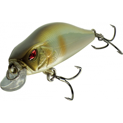 Leurre poisson nageur PROREX Flat Minnow 50SS