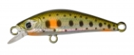 spot green trout