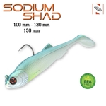 vignette-sodium-shad-sakura-2021-2