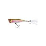 rainbow-trout-v-4970-497093