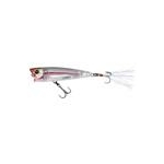 glass-minnow-v-4970-497091