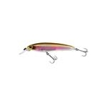 rainbow-trout-v-4970-497059