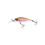 rainbow-trout-v-4971-497117