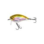 rainbow-trout-v-4971-497154