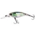 gizzard-shad-v-4971-497113