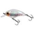 white-crawfish-v-4969-496948